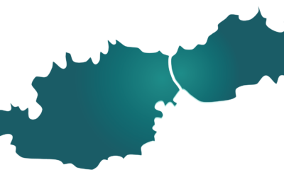 Zukunft der grenzüberschreitenden Innovationsregion Slowakei-Österreich: Projekt-Themen